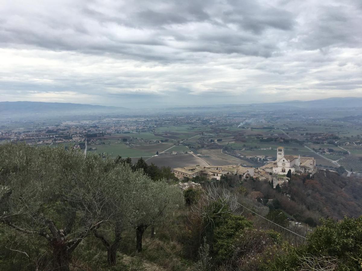 La Casa Dell'artista Assisi