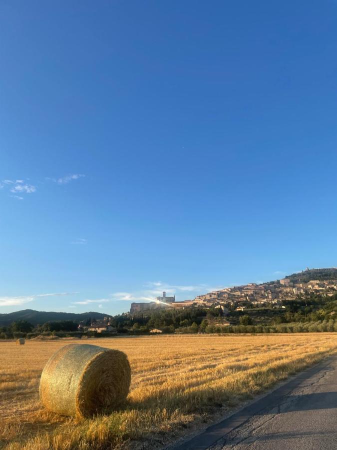 La Casa Dell'artista *