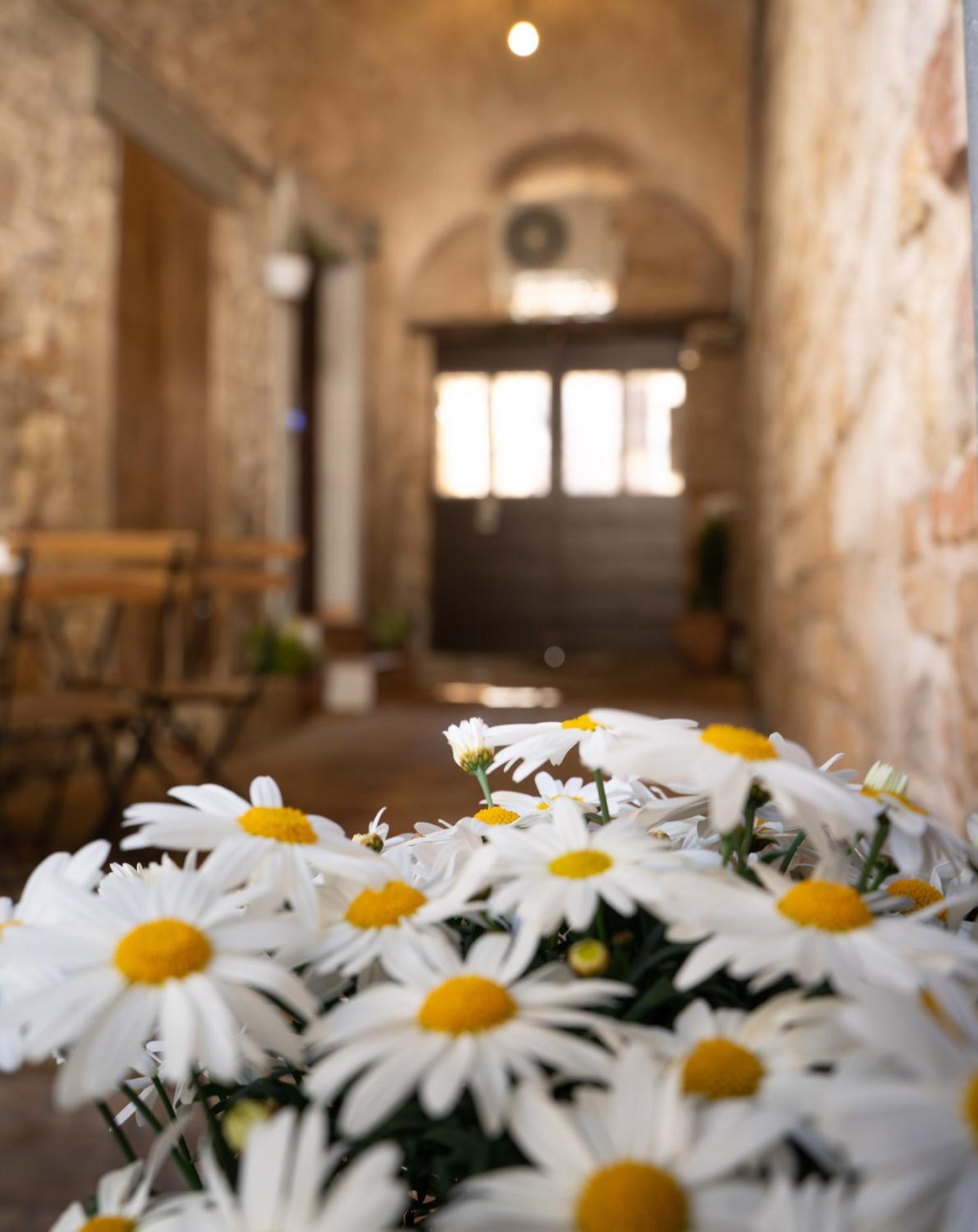 Appartamento La Casa Dell’artista Assisi