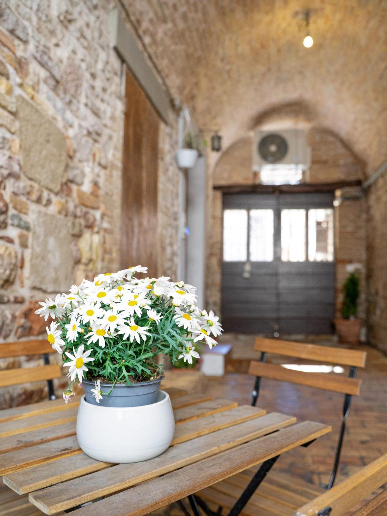 La Casa Dell'artista Apartment